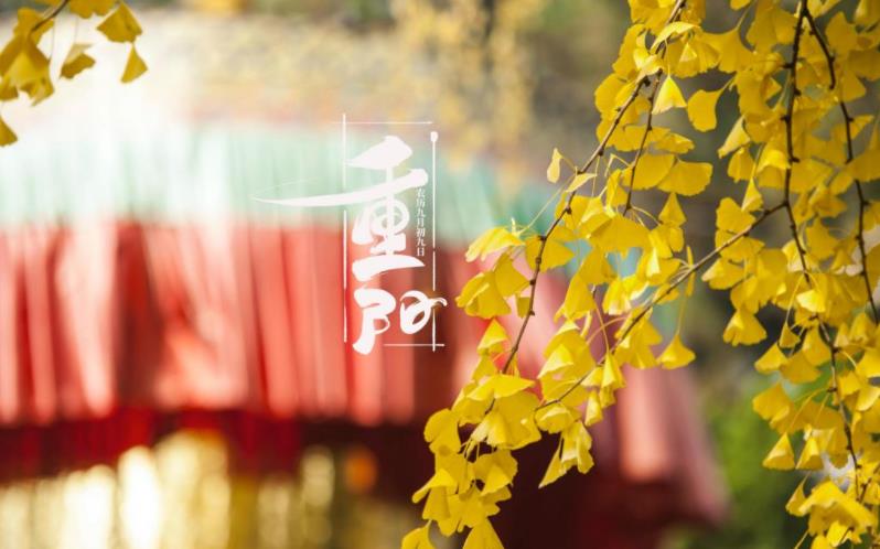 金秋送爽，心暖重陽。祝您重陽愉快，闔家歡樂，福壽安康！